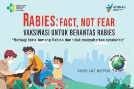 Kasus Rabies Gigitan pada Manusia di Sumsel Mencapai 601 Sepanjang 2024