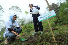 Berbagai Program BRI untuk Mendukung Net Zero Emission di 2050