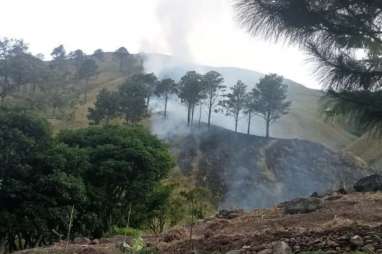 Kebakaran Lahan di Kalimantan Tengah, Warga Diimbau Waspada