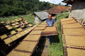 Pelaku Industri Tembakau Beberkan Dampak Cukai Naik hingga Kemasan Polos