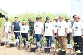 SPMT Grup Tambah Tanam 30.000 Bibit Mangrove, Perkuat Pesisir Kalteng