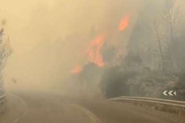 Lebanon Catat Serangan Israel Telah Menewaskan 1.540 Orang Sejak Oktober 2023