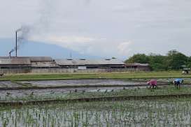 Di Bawah Bayang Beton: Perjuangan Petani Cirebon dalam Deru Alih Fungsi Lahan