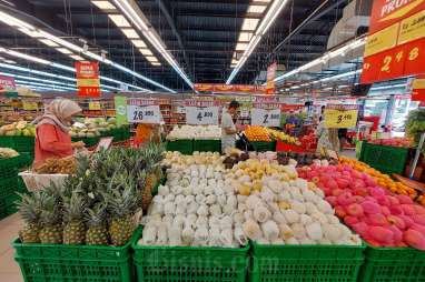 Petani Hidroponik Pekanbaru Raih Sertifikat, Produk Sudah Dipasarkan di Supermarket