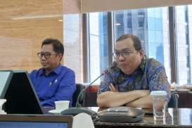 Bos BEI: PHE, Inalum, & PalmCo Diharapkan Gelar IPO 2025