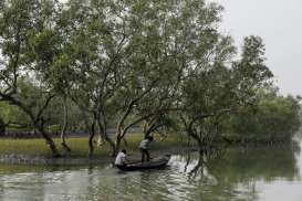 Didanai Bank Dunia, BRGM Siapkan Program Rehabilitasi Mangrove di 30 Desa Bengkalis