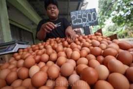 Harga Pangan Hari Ini 7 November: Beras Naik, Daging Ayam Turun