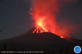 Mencari Jalan Pulang Saat Erupsi Lewotobi