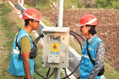 Elektrifikasi Agrikultur PLN Menjaga Denyut Bisnis Petani