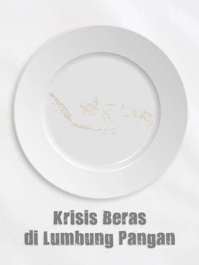 Darurat Beras di Lumbung Pangan