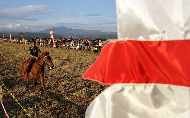 Lomba Pacuan Kuda Tradisional Di Sulawesi Selatan