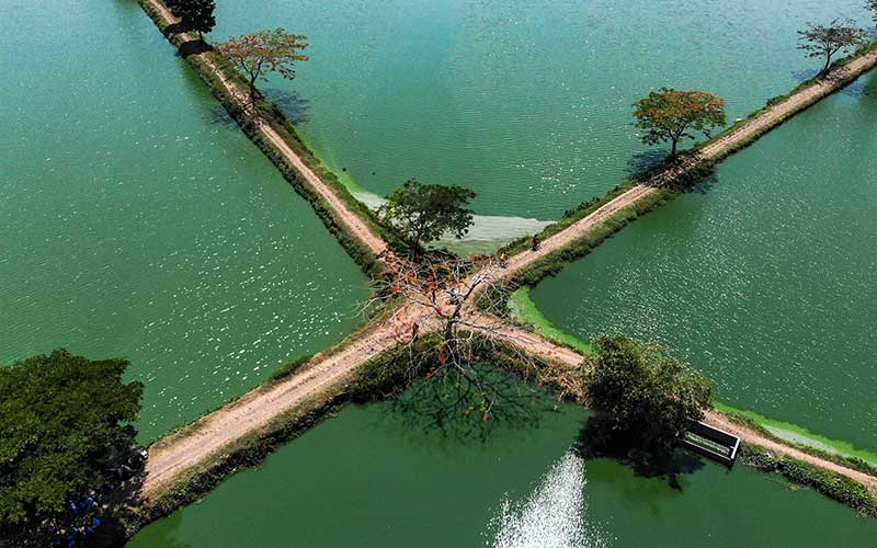 Menjelajahi Wisata Budaya: Alternatif Traveling Murah yang Edukatif untuk Warga Desa Cikoneng