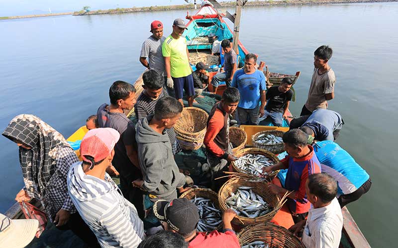 Harga Ikan Laut Masih Tinggi Akibat Kurangnya Pasokan Ikan Dari Nelayan