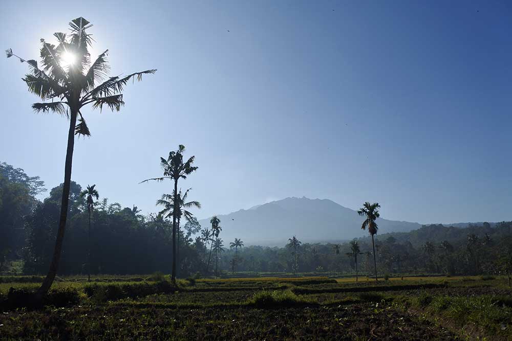 Gunung Raung terlihat dari Desa Gunung Malang, Sumberjambe, Jember, Jawa Timur, Kamis (28/7/2022). Gunung Raung setinggi 3.332 meter di atas permukaan laut (mdpl) mengeluarkan abu vulkanik pada Rabu (27/7/2022) kemarin pukul 17.19-17.28 WIB dan status gunung level I atau normal. ANTARA FOTO/Seno