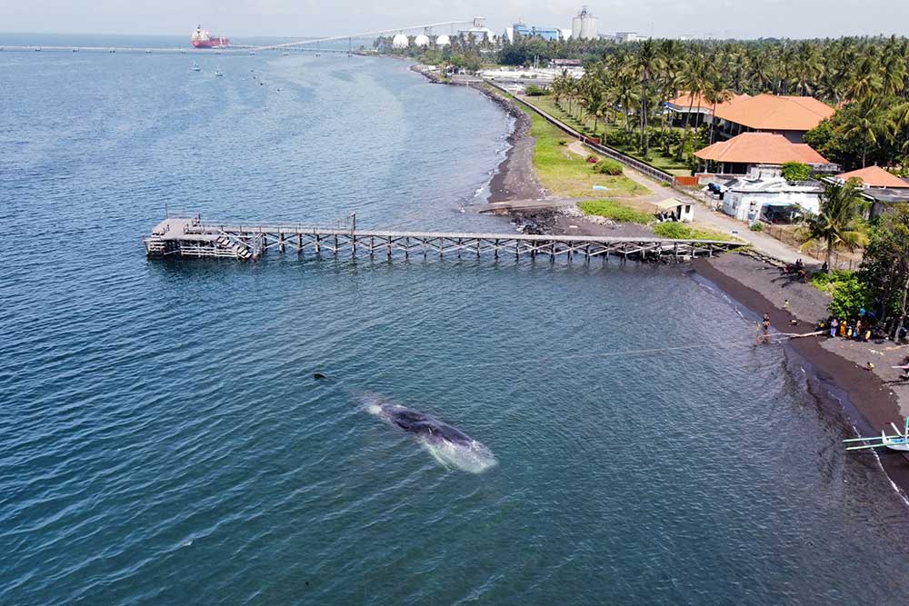 Asir ayollar porno video