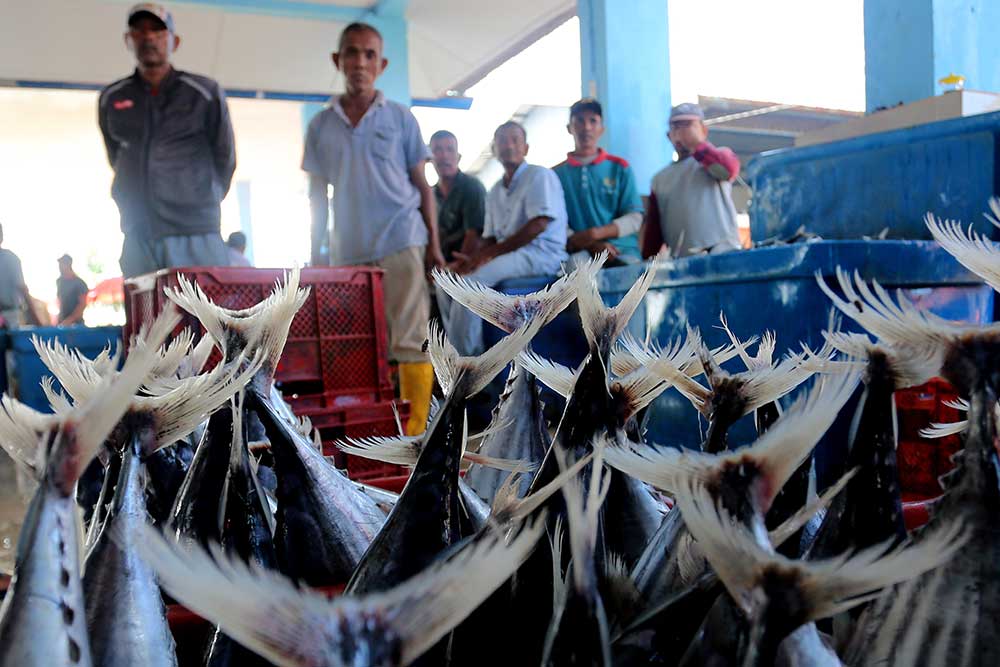 Pekerja mengemas ikan hasil tangkapan nelayan ke dalam box fiber di Pelabuhan Ujong Baroh, Kecamatan Johan Pahlawan, Aceh Barat, Aceh, Kamis (26/1/2023). Menteri Kelautan dan Perikanan Sakti Wahyu Trenggono menargetkan ekspor hasil perikanan Indonesia tahun 2023 bisa mencapai US$7,66 Miliar atau setara Rp 116,1 triliun. ANTARA FOTO/Syifa Yulinnas