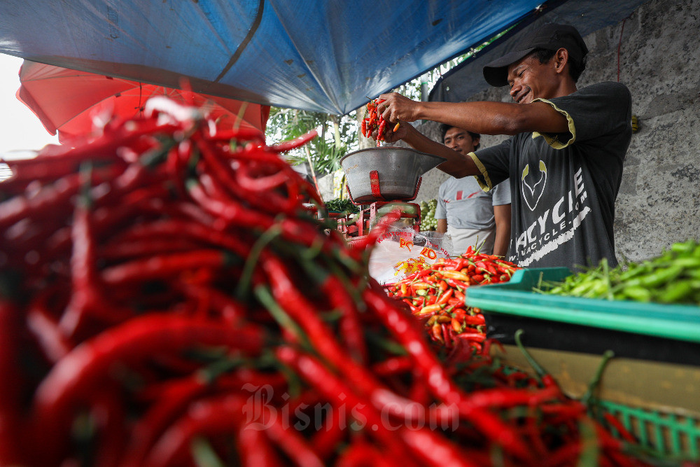 Pedagang menyortir cabai di salah satu pasar tradisional di Jakarta, Minggu (19/3/2023). Dewan Pimpinan Pusat Ikatan Pedagang Pasar Indonesia (DPP IKAPPI) mencatat harga pangan untuk komoditas cabai masih tinggi di pasaran menjelang Ramadan 2023. Seperti cabai rawit yang dijual rata-rata Rp90.000 per kg di Jakarta, juga di beberapa daerah lain masih tinggi. Bisnis/Suselo Jati