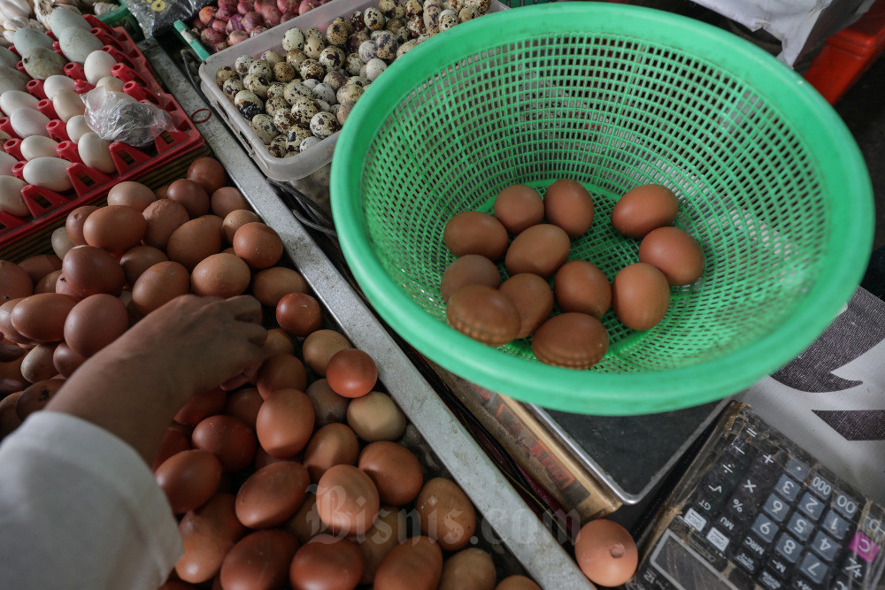 Harga Telur Ayam Ras Mulai Merangkak Naik