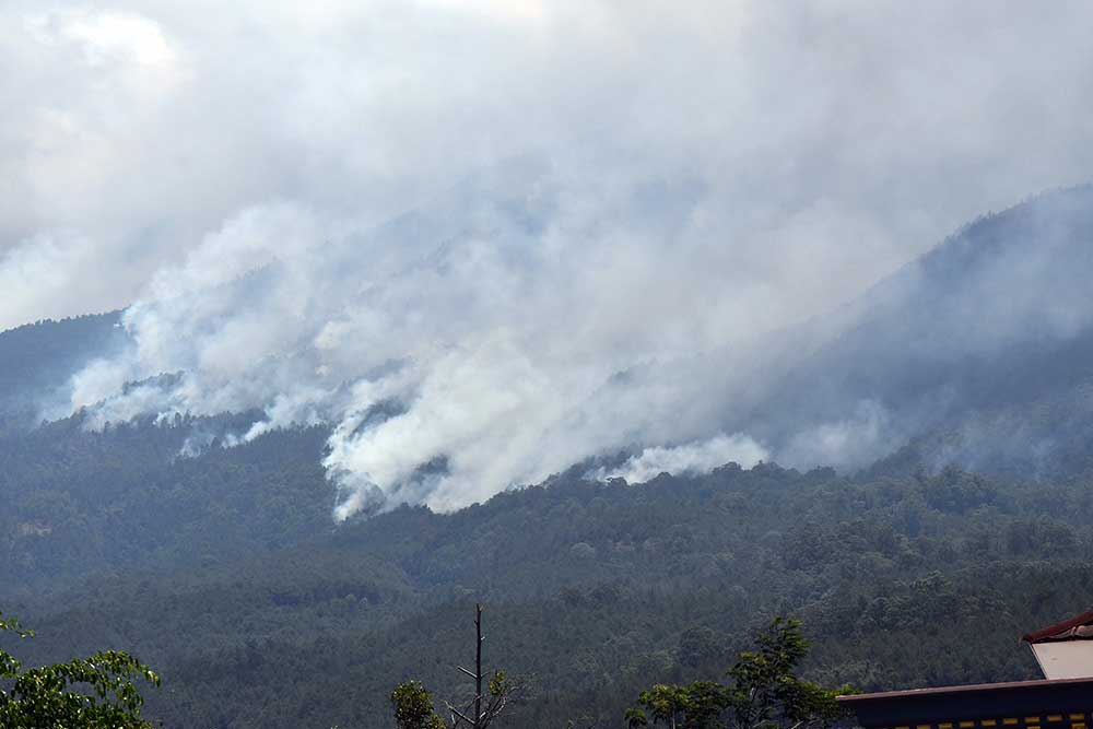 Kebakaran Hutan Di Gunung Lawu Terus Meluas