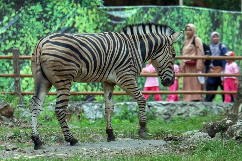 Kemenparekraf Targetkan 14 3 Juta Kunjungan Wisatawan Mancanegara Ke   Antarafoto Target Kunjungan Wisata 2024 141223 Ms 3 