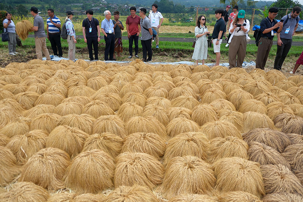 Delegasi 16 Negara Pelajari Sistem Subak Bali dalam Forum Internasional FAO dan BRIN