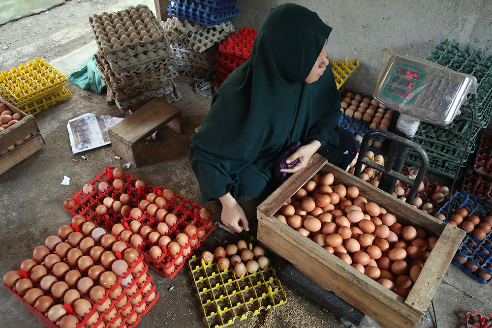Kementan Tetapkan Harga Acuan Telur Ayam Ras Rp24.000 per Kg Mulai 15 Juli 2026