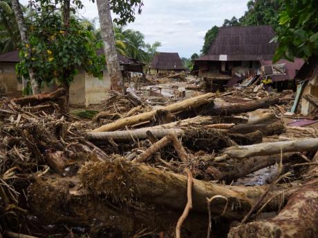 Duka di Balik Jejak Deforestasi Bumi Andalas