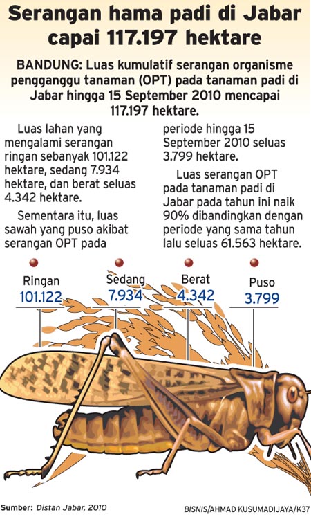  Serangan hama padi di Jabar capai 117.197 ha