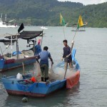  Nelayan Karawang pilih tidak melaut