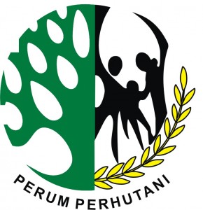  Perhutani bidik lonjakan pendapatan dari jati