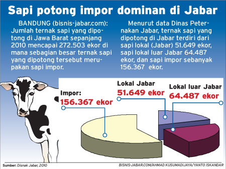  Sapi potong impor dominan di Jabar