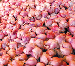  Harga bawang merah di Bandung naik 50% 