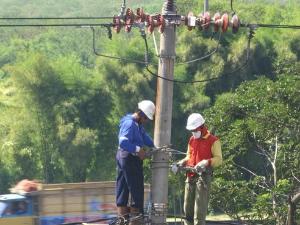  PLN sterilisasi penyulang untuk keandalan listrik