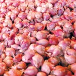  Bawang merah Thailand mulai gempur pasar tradisional