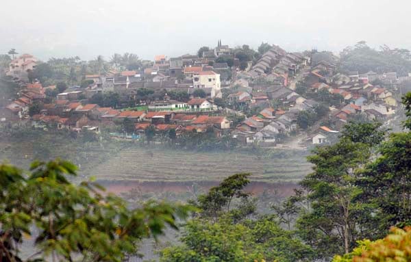  FOTO: Lahan pertanian di KBB terancam hilang