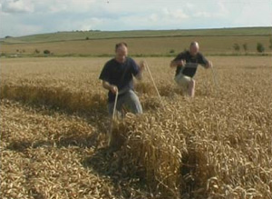  Crop circle bisa dibuat dalam satu jam! (Bag 3) 