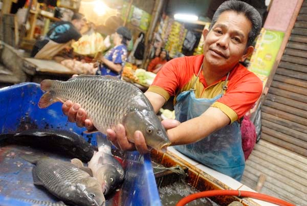  FOTO: Harga Ikan Mas di Bandung Naik