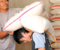  Inpres harga beras diduga baru terbit April