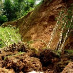  Ratusan rumah terancam longsor di Kabar Umum Jabar (8/2)