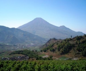 85% Kabupaten/kota gagal terapkan otonomi daerah 