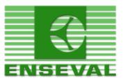  Enseval jual saham baru Rp700 per lembar