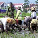  ’Mustahil buka lahan pertanian di Karawang’