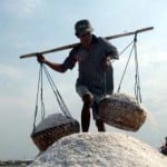  Petani beralih jadi penjual garam impor