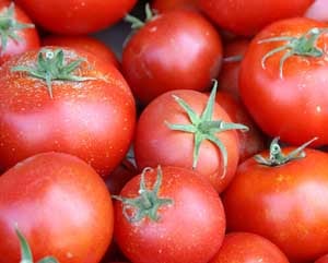  Cuaca tak menentu, harga tomat naik 100%