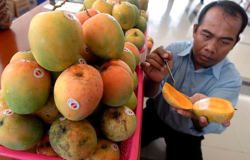  FOTO: Buah tangan khas Indramayu yang menggoda