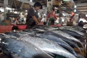  Pasokan melimpah, harga ikan di Indramayu stabil