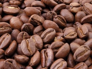  Harga kopi gelondongan di Jabar naik 60% sentuh Rp7.000/kg