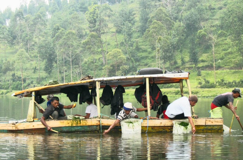  FOTO: Pengumpul lumut untuk umpan ikan di Situ Cisanti 