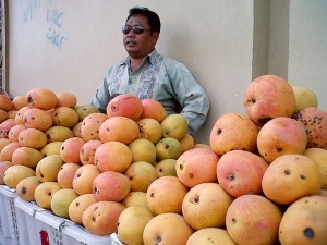  Petani Cirebon berambisi jual gedong gincu ke Jepang