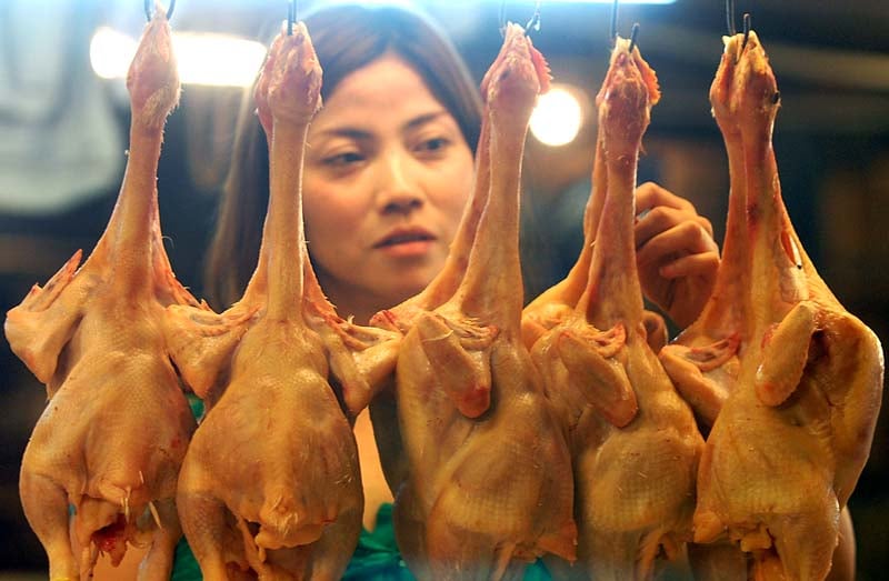  FOTO: Pasokan berkurang harga ayam naik